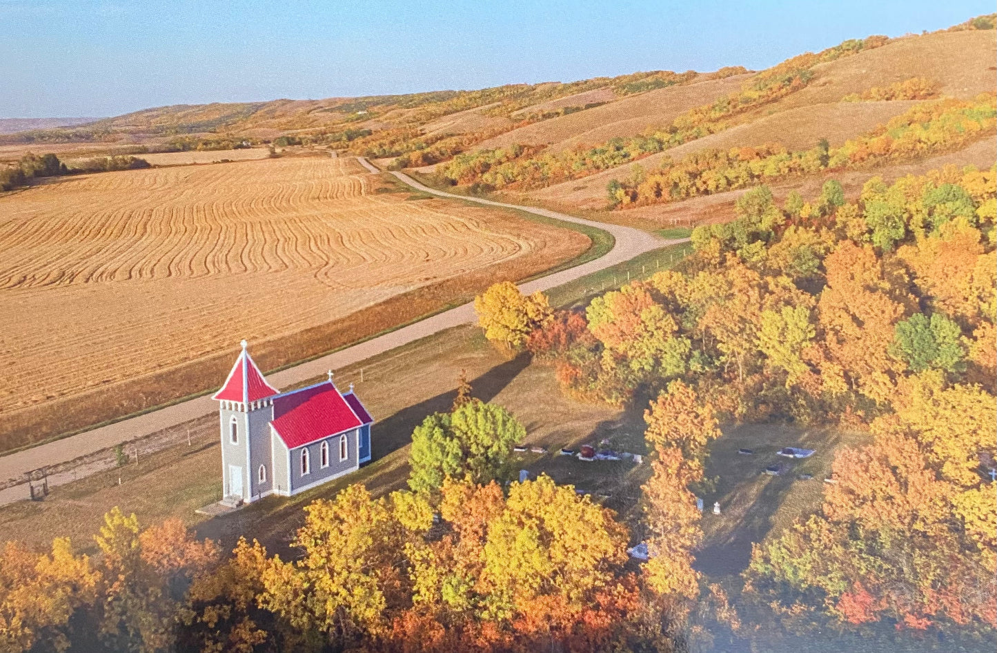 Postcard: Ashlyn George