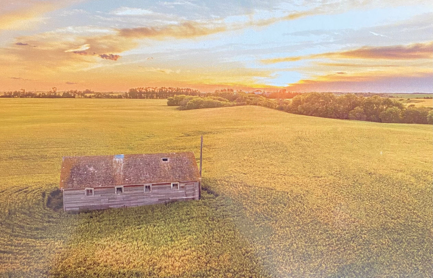 Postcard: Ashlyn George