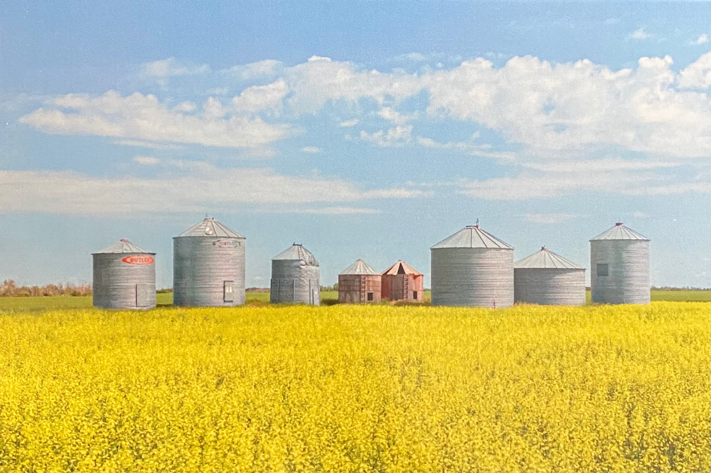 Postcard: Ashlyn George