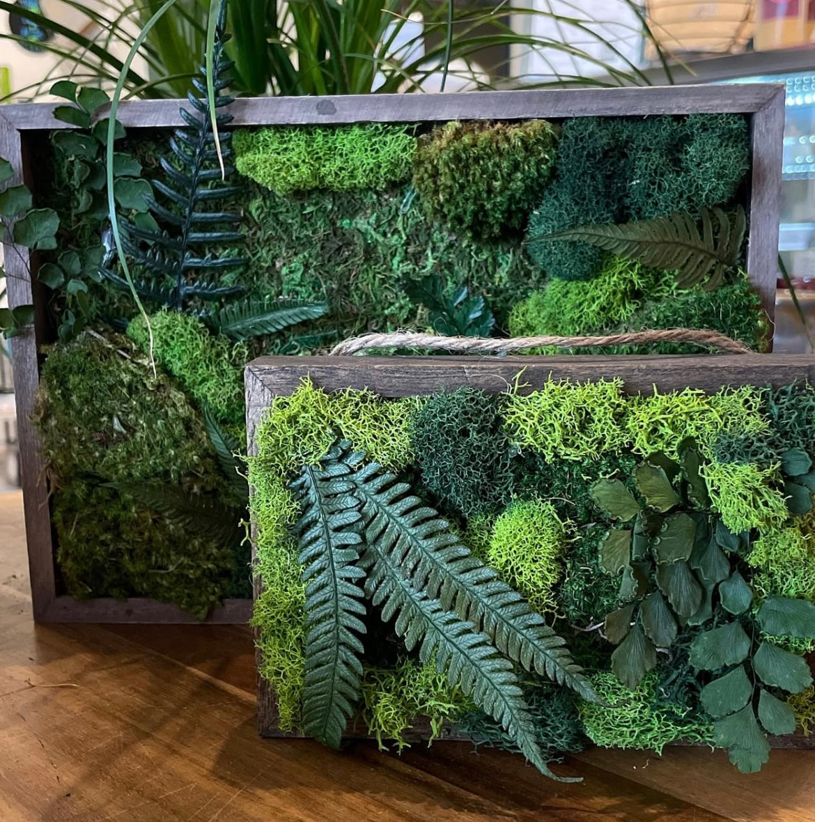 Plant Van Moss Frame Workshop