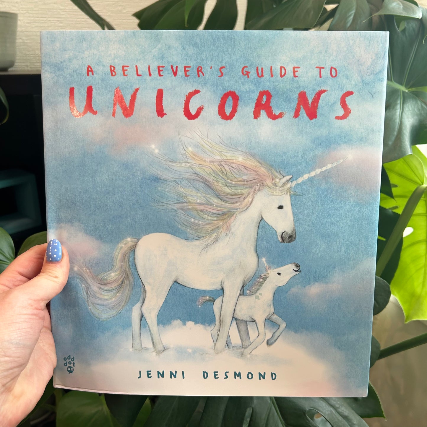 A Believer’s Guide to Unicorns