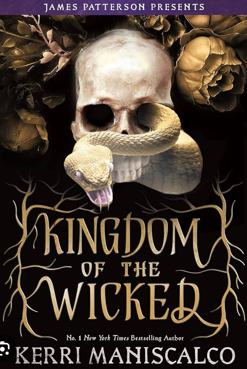 Kingdom of the Wicked