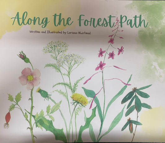 Along the forest path