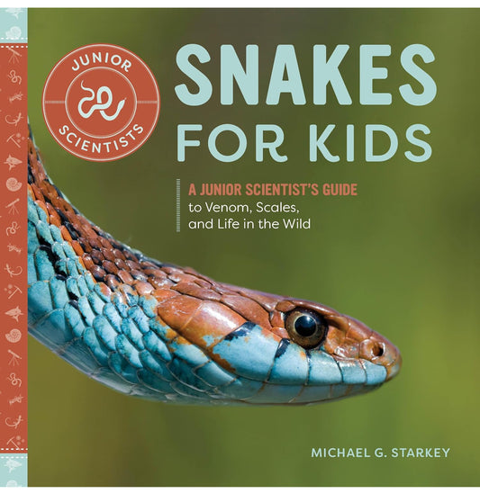 Snakes for kids