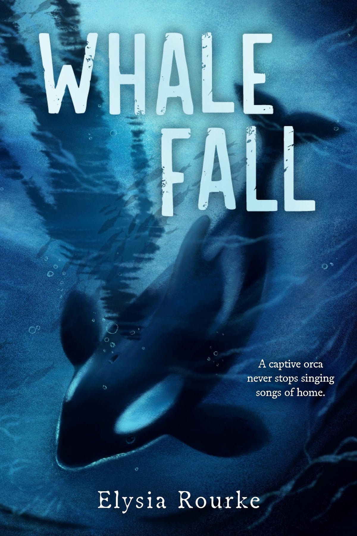 Whale Fall